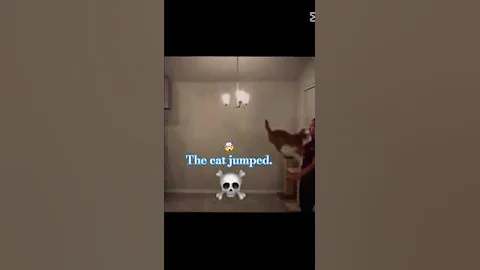 #cats #viralvideo #troll #edit#bestvideo #trollface