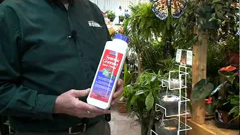 Systemic_Granulers_Insect_Control_Bonide.MPG