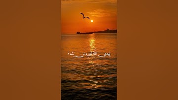 اكتب شيء تؤجر عليه 🫀🤍.  #القرآن_الكريم    #تلاوة_خاشعة