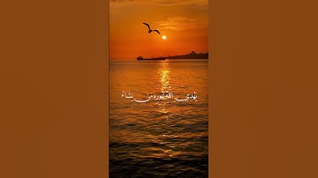 اكتب شيء تؤجر عليه 🫀🤍.  #القرآن_الكريم    #تلاوة_خاشعة