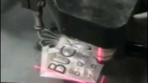 Torchmate Plate Marker -- Buckbean 1