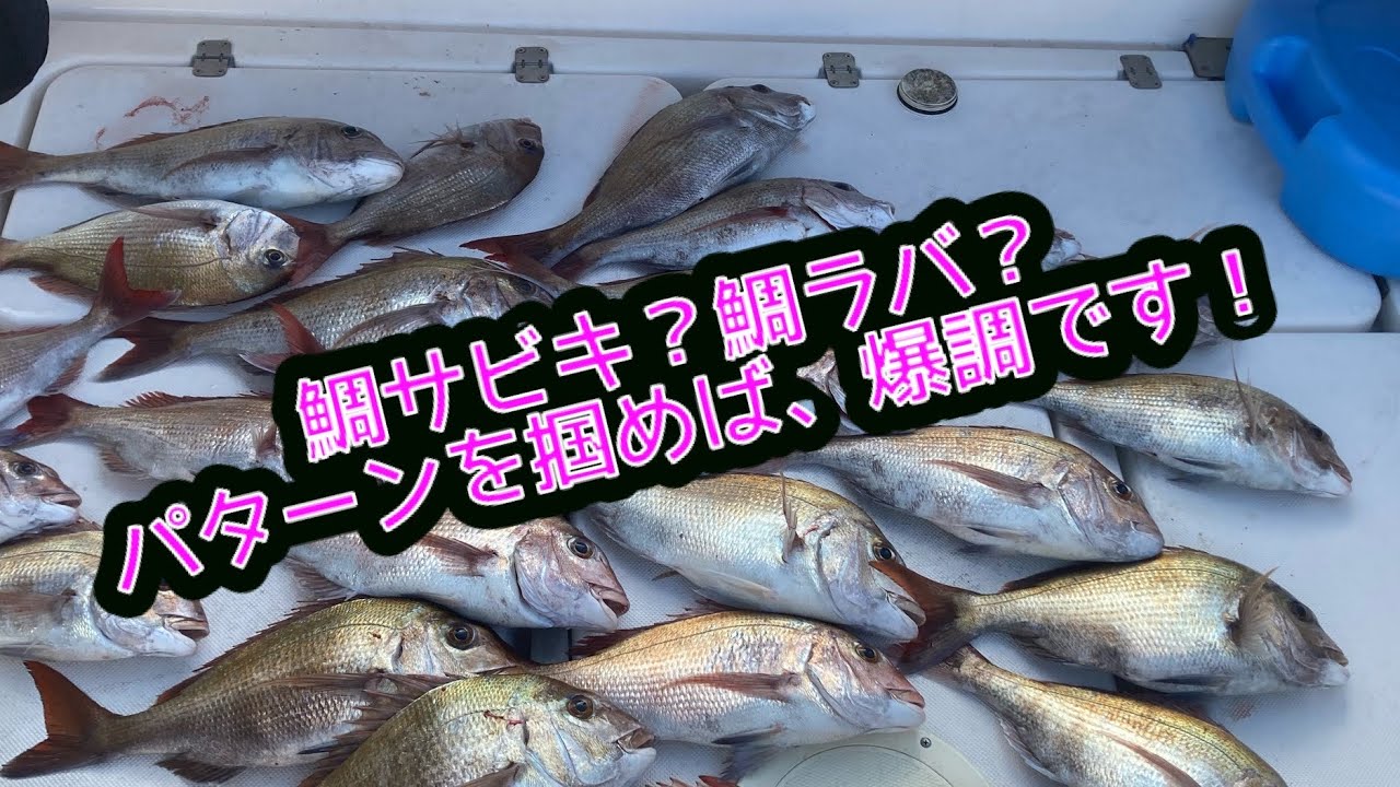 鯛サビキ 鯛ラバ パターンを掴めばアナタも釣れまくります Youtube