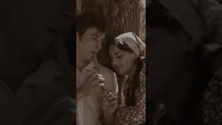 Huzur Veren Manzara Doğa Ve Duygusal Kısa Videolar