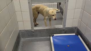acs A673627