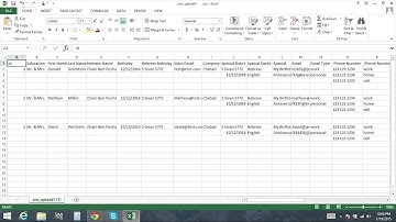 Chabad CRM Tutorials: Import and Export Data