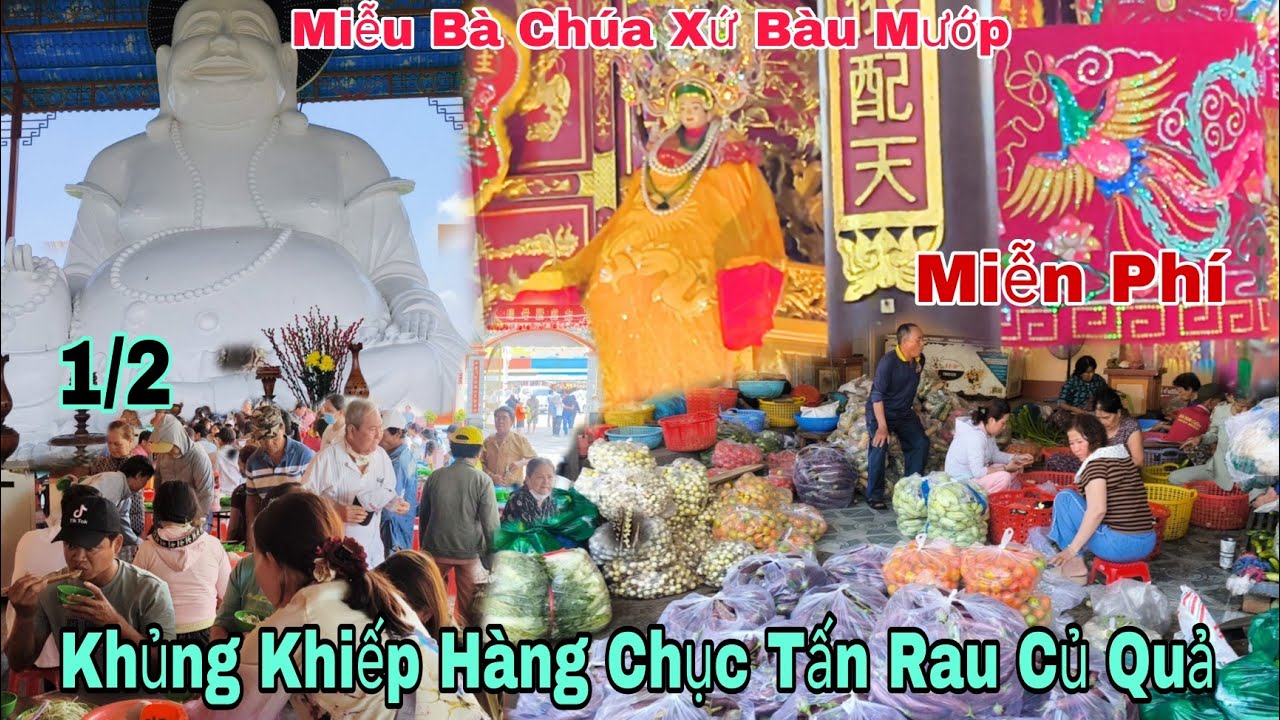 Khủng Khiếp Hàng Chục Tấn Rau Củ Quả Miễn Phí Miễu Bà Chúa Xứ Bàu Mướp 1/3/2026