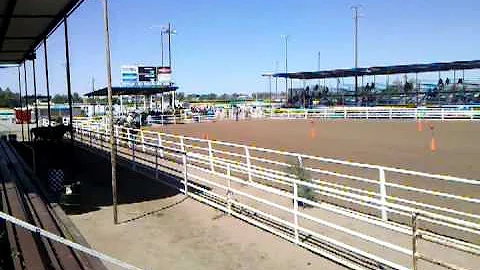 Vanessa Schmidt from Germany riding "Cruces" at th...