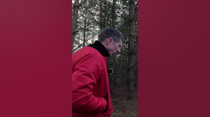 Живёт один в лесу с волками и медведями