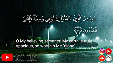 يَـٰعِبَادِىَ ٱلَّذِينَ ءَامَنُوٓا۟ ||تلاوة تحلق بك في عنان السماء🌿 ||القارئ الصاعد 🎧