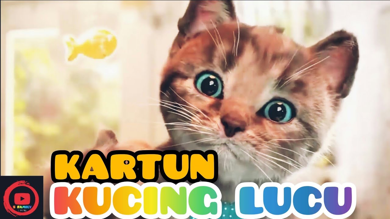  FILM  KARTUN  ANAK  LUCU kucing  lucu edukasi anak  YouTube