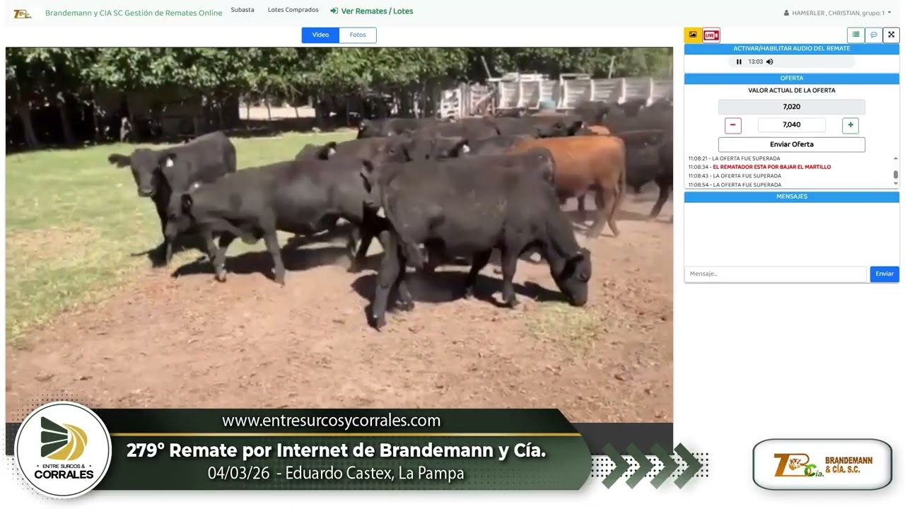 04-03-26 - 279º Remate por Internet de Brandemann y Cía. - Eduardo Castex, La Pampa