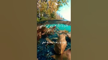 الشيخ شكرى البرعي-- نوادر روعه- رحمه الله #تلاوات