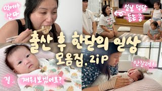 [vlog🇦🇺] 회복하랴 애기보랴 알차게 보낸 출산 후 한달의 일상 모음.zip