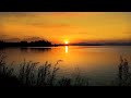 Calming nature ambience for stress relief relaxation  sleep  lake at sunset  loon calls at night