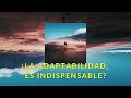 ¿La adaptabilidad, es indispensable? 3er Video!!!