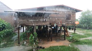#พายุเข้าฝนตกหนักที่บ้านห้วยยางเมืองจำพอนแขวงสะหวันนะเขต