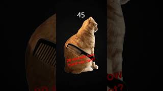 20 seconds how many can I get?