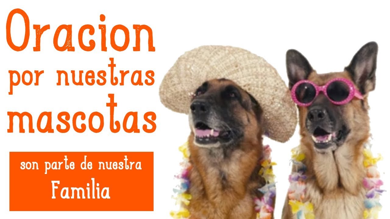 santorini restaurant Oracion por nuestras mascotas ( son parte de nuestra Familia )