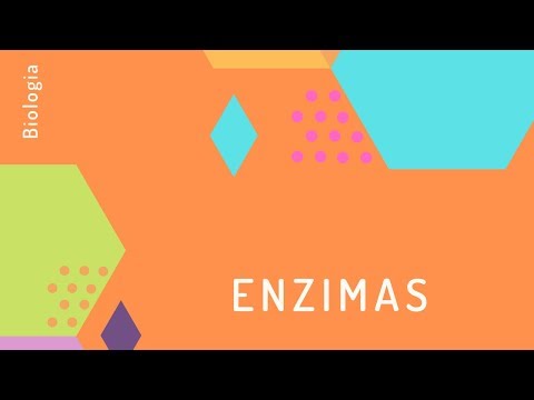 ENZIMAS - PORTAL SÃO FRANCISCO