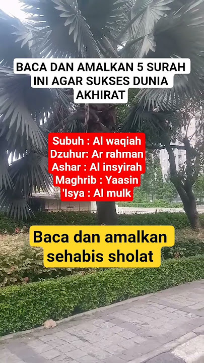BACA SURAH INI 🤗👍#shorts #amalankebaikan #quran #ytshorts