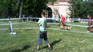 IZLOŽBA PASA NIŠ 2012-GDE ODE PAS.MPG