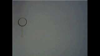 Celebrity Pencil Test - Pendulum Wealth