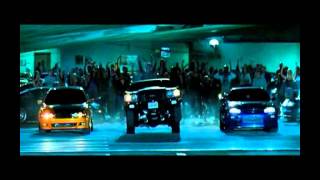 Familia Rapidos Y Furiosos   Blanco Pitbull