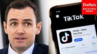 Mike Gallagher: This Is How We Know That TikTok Is A 'Threat To Our National Security'