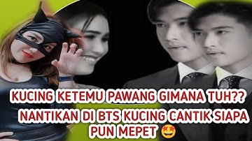 Di #BTS Nantikan Kocak Kucing Cantik😍 #ayutingting #victor #shorts #new #terkini #video #viral #like
