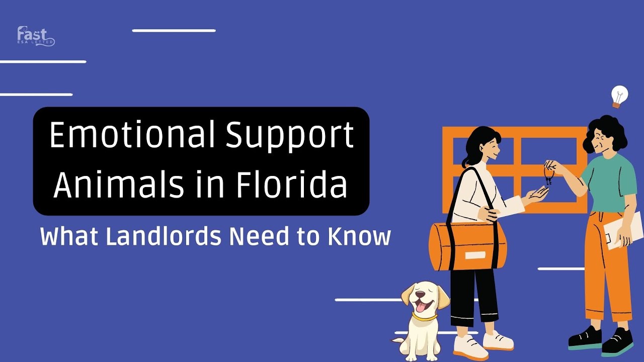 Emotional Support Animals In Florida What Landlords Need To Know YouTube Emotional Support Animals In Florida What Landlords Need To Know YouTube