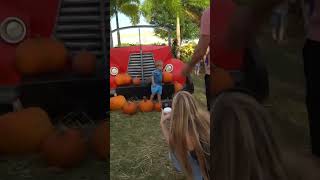 🎃 Pumpkin Patch Party, $1400 raised!