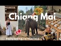 3 days in Chiang Mai: backpacking diaries from Thailand 🌺 | things to do &amp; see, north of Thailand