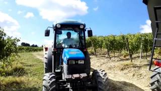 Pellenc 8050 New holland tk85 tnf95 vendemmia meccanica Grape harvest