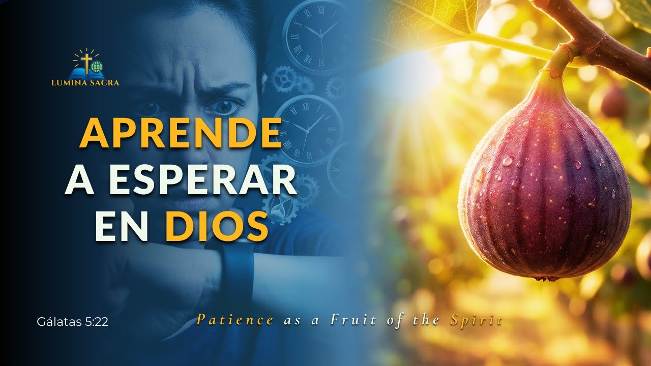 🙏 Reflexión cristiana: La paciencia como fruto del Espíritu ...