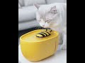 OMG 小蜜蜂貓咪自動飲水機 寵物飲水器（2L儲水/活氧循環/靜音水泵） product youtube thumbnail