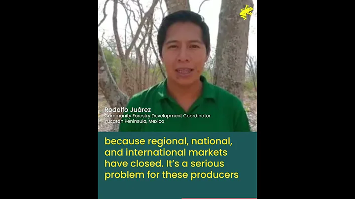 Dispatch from Mexico with Rodolfo Jurez