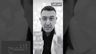 القمح و الهندسة الوراثية #aldoctor #foryou #الدكتور #follow #like #share #shortvideo #explore #reels