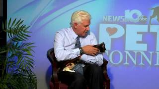 Pet Connection Rose 8-1-18