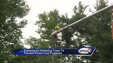 Utility crews trim trees that could cause problems