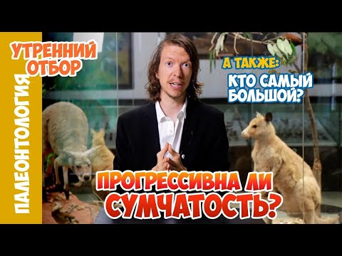 Плацентарные больше не самые продвинутые млекопитающие. Ярослав Попов