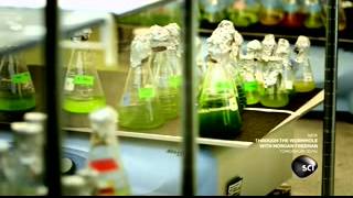 Worlds Strangest - Sustainable Biofuel