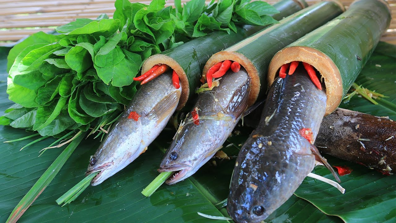 Primitive Technology: Cooking Fish in Bamboo - YouTube