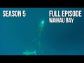 Fishing & Adventure Season5 EP10 - Waihau Bay