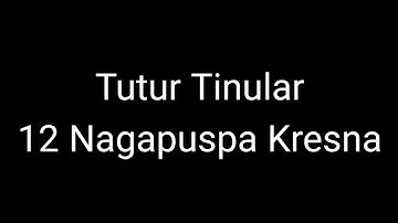 Episode 338 Tutur Tinular - 12 Nagapuspa Kresna