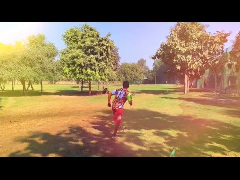 HGC Frisbee Golf: Pro Edition