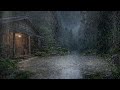 Silent Rainfall at Dawn – Peaceful Sleep Sounds for Emotional Comfort and Balance