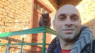видео: Наш новый дом:Уютный вечер,Планы на день  картинка: Наш новый дом:Уютный вечер,Планы на день