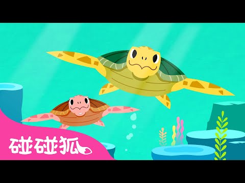 海龜 🐢  | 認識海洋動物 | 海洋動物兒歌 | 臺灣配音 | 鯊魚寶寶 兒歌 童謠 | Baby Shark l Kids Song l Nursery Rhymes | 碰碰狐 Pinkfong