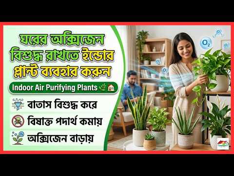 ঘরের অক্সিজেন বিশুদ্ধ রাখতে ইন্ডোর প্লান্ট ব্যবহার করুন 🌿🏡 | Indoor Air Purifying Plants