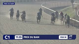 Vidéo de la course PMU PRIX DU BAM